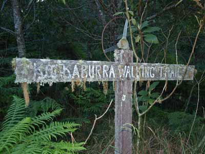 Kookaburra Sign