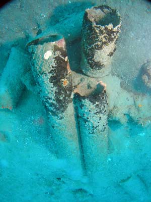 Kulua Shells