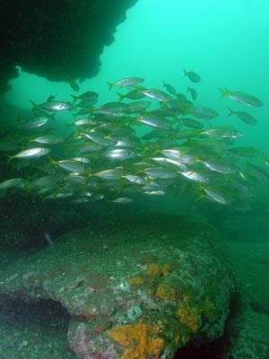 La Perouse Point
