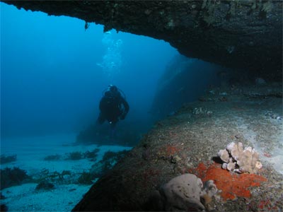 An overhang at the Lighthouse Sponge Gardens