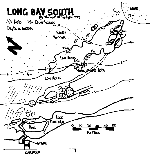 Click to enlarge