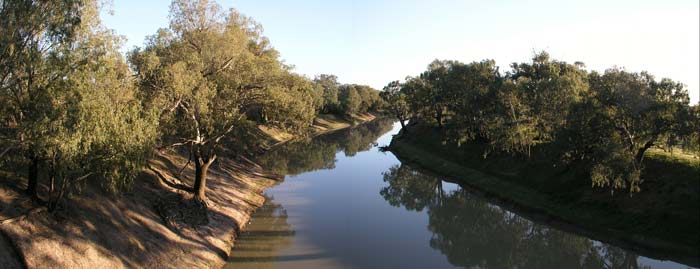 Darling River at Louth
