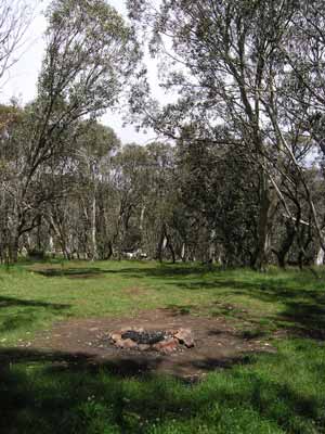 Lovick Hut Camping