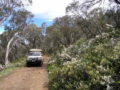 Lovick Hut Road