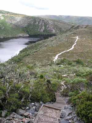 Marions Lookout Track