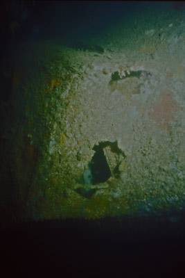Mavis's Nose