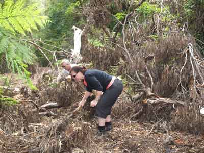 Clearing the track