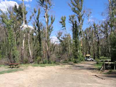McIver Camping Area