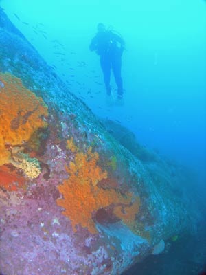 M & K Reef Cave