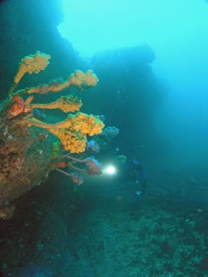 M & K Reef