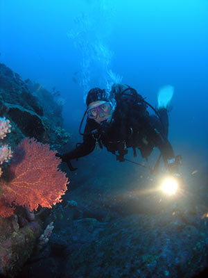 MK Reef
