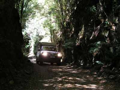 The track to Montezuma Falls