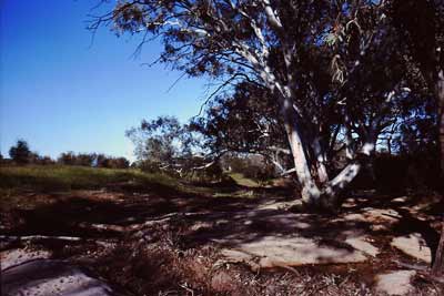 Mootwingee Historic Site
