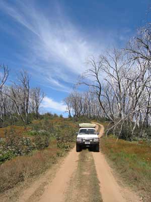 Mt Blue Rag Track