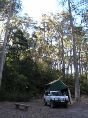 Mt Field Camping Area