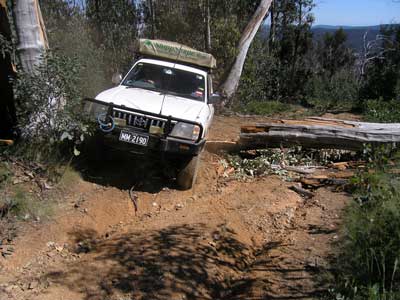 Mt Gibbo