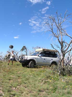 Mt Gibbo