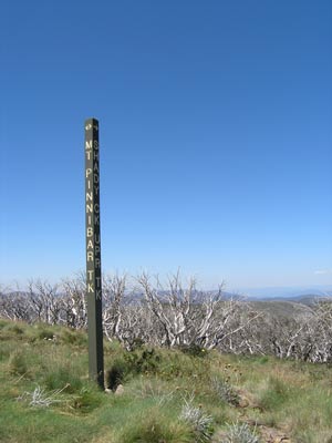 Mount Pinnibar