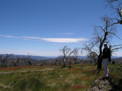 Mt Selwyn