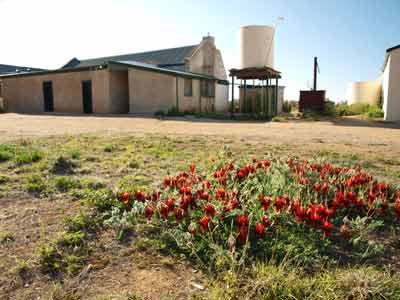 Mt Wood Shearers Quarters