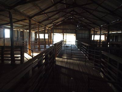 Mt Wood Shearing Shed