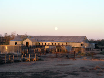 Mt Wood Shearing Shed