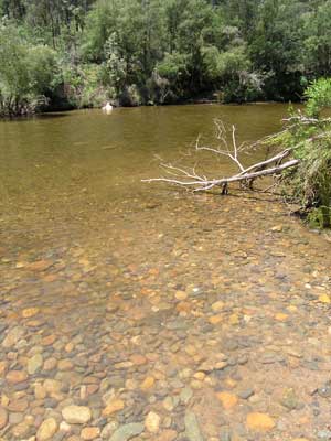 Murray River