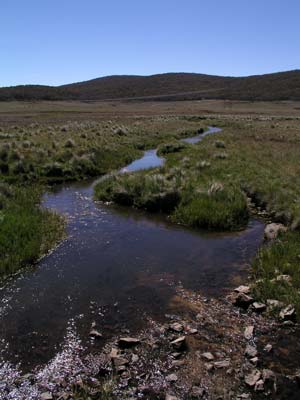 Murrumbidgee River