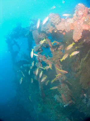 Nagano Maru