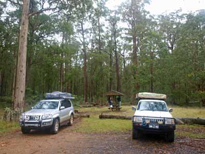 New Country Swamp Camping Area