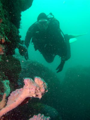 Lighthouse Reef
