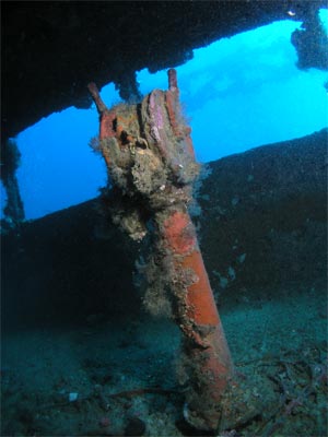 Nippo Maru