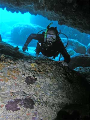 A cave at North Bowen