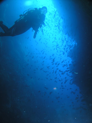 Northern Arch