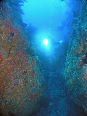 Northern Arch