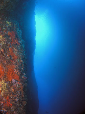 Looking up at Northern Arch
