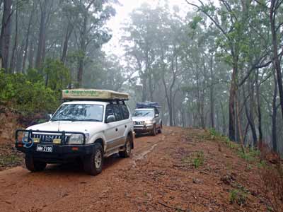 The track into Myall Creek Camping Area