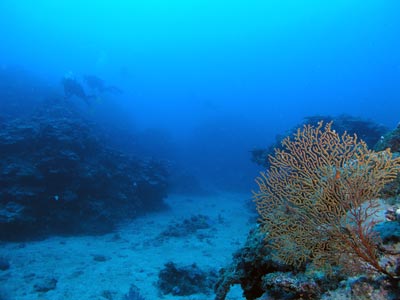 Agincourt Reef