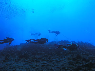 North Ribbon No 5