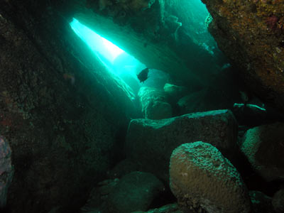 The Cutting North Reef