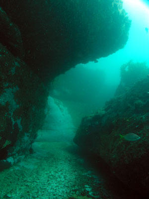 The Cutting North Reef