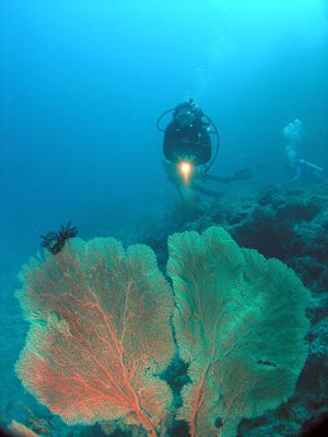 Numnumin Reef