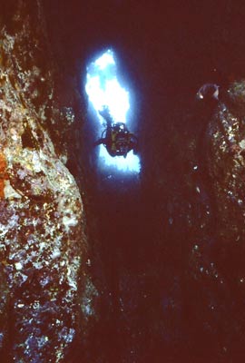 Nursery Cove 