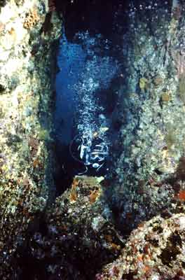 Nursery Cove 