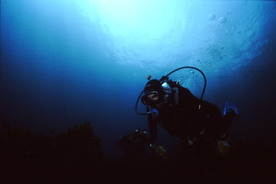 Nursery Cove 