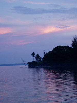 Nusa Retreat