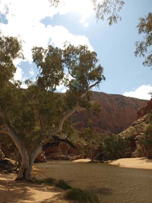 Ormiston Gorge