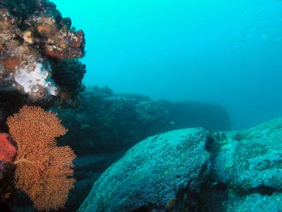 Osborn Shoal SW