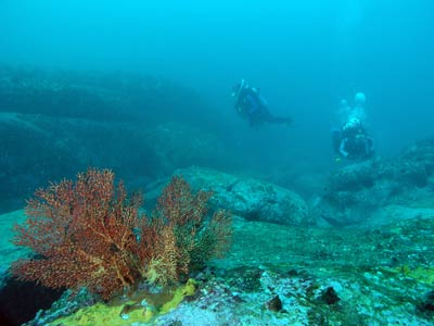 Osborn Shoal SW