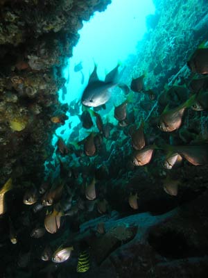 Osborn Shoal SW